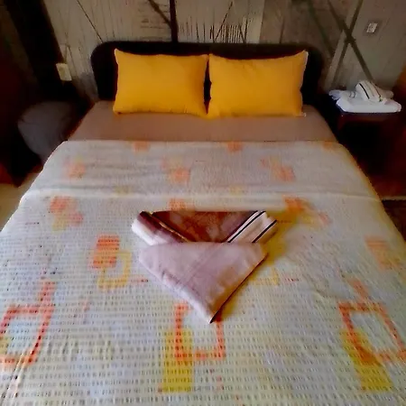 Petra Apartment *